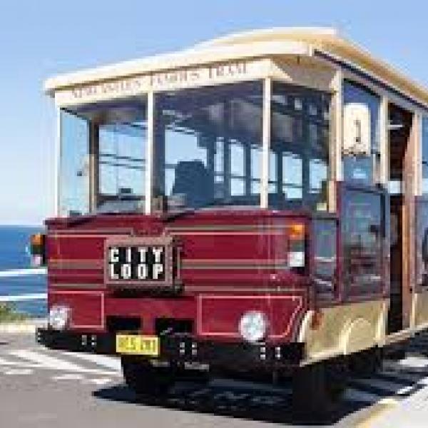 Newcastle Famous Tram