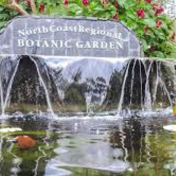Garden Waterfall