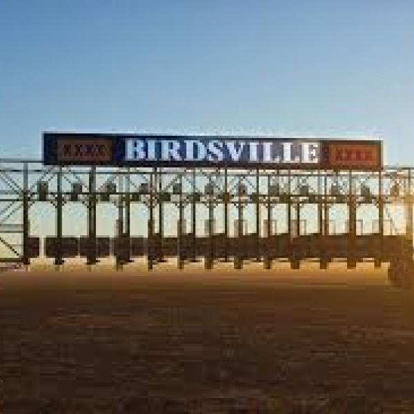 Birdsville Races Start Grid