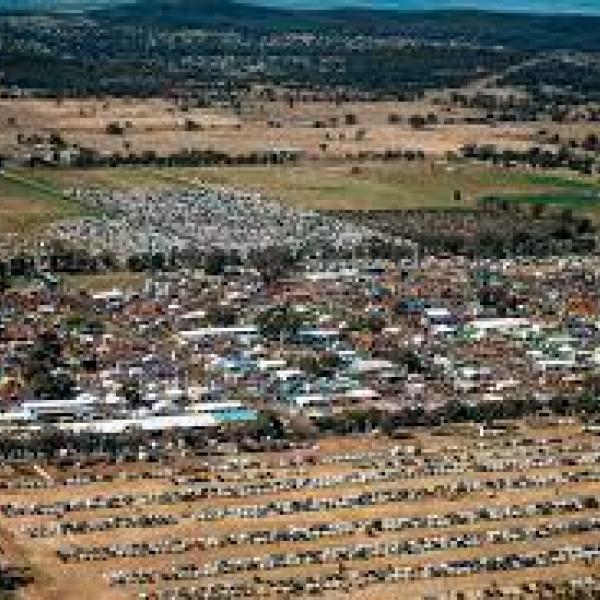4-Day Agquip Tour