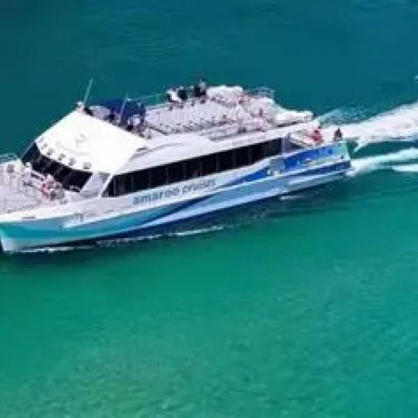 Moonshadow Cruise