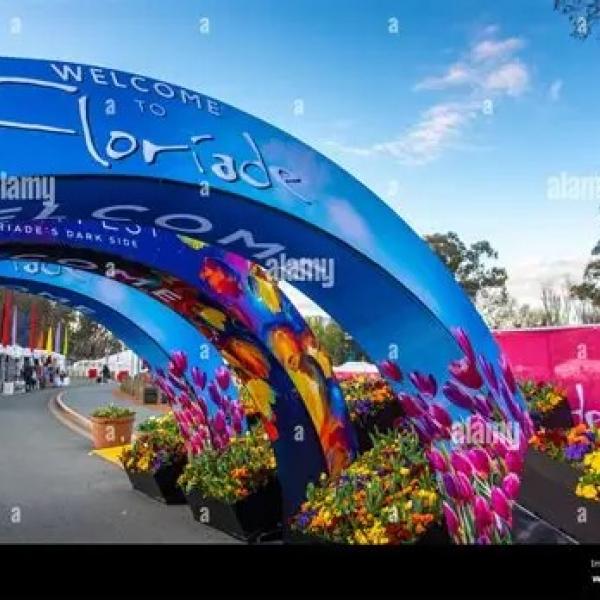 Bursting Into Bloom: Floriade & Tulip Festival Escape