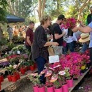 Bellingen Spring Plant Fai