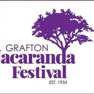 Grafton Jacaranda Festival