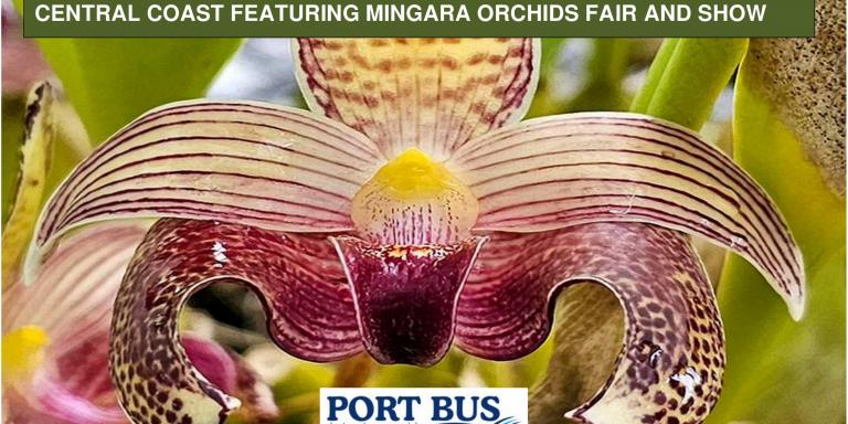 Central Coast & Mingara Orchids